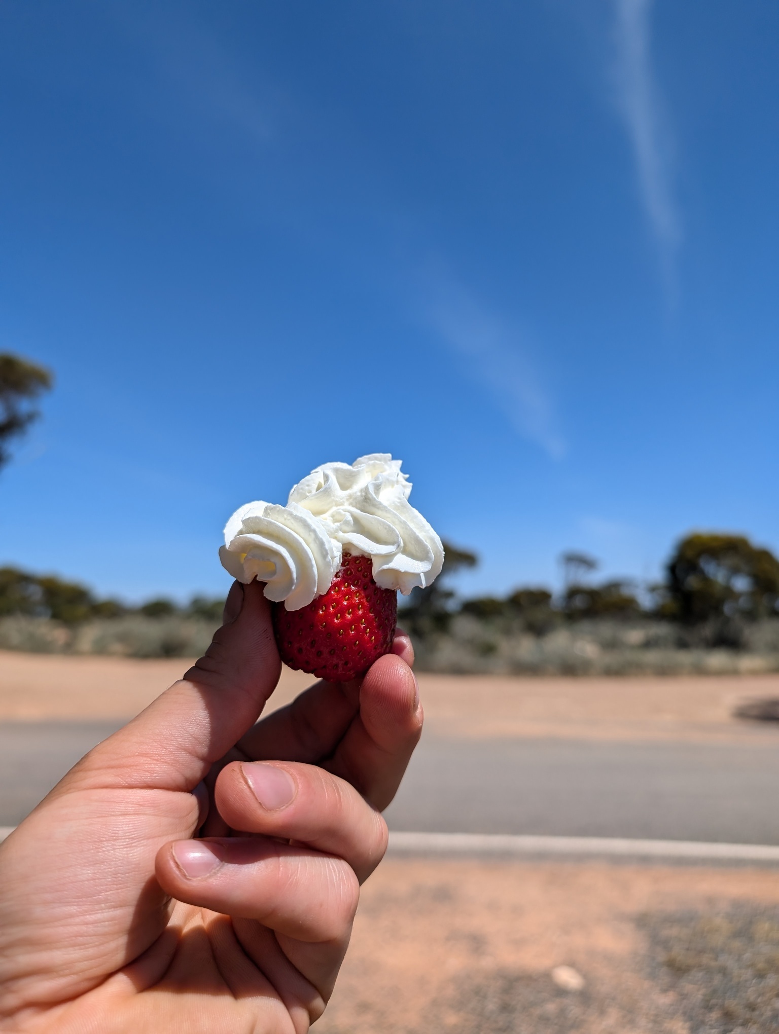 Culinary novelty #1: strawberries with cream, eating it in the desert gives them extra sweetness to it (so long you don't eat a fly at the same time!)