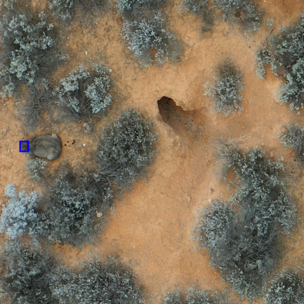 Meteorite, or WOMBAT detector?!