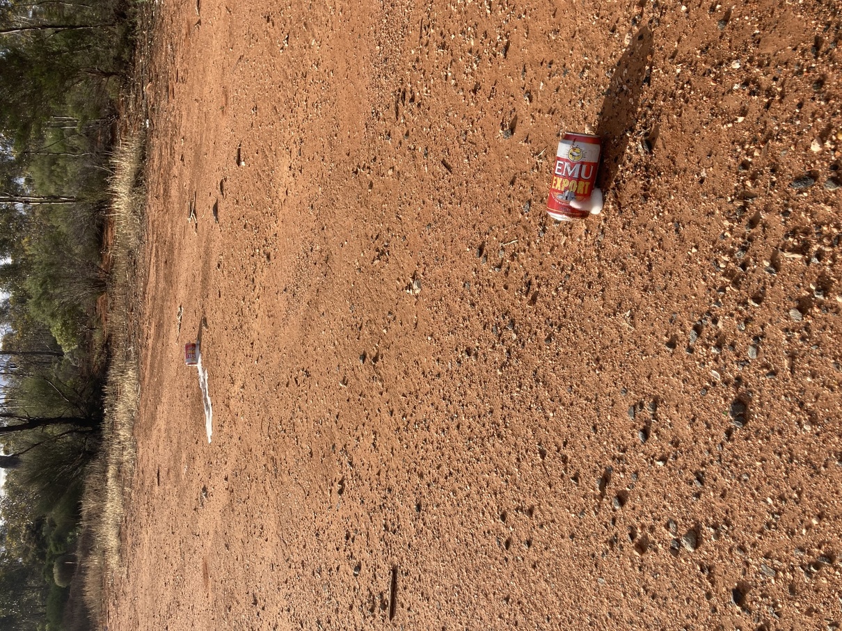 First casualties of the trip. Burst Emu cans aly on the side of the road after they fell from the back of the ute.