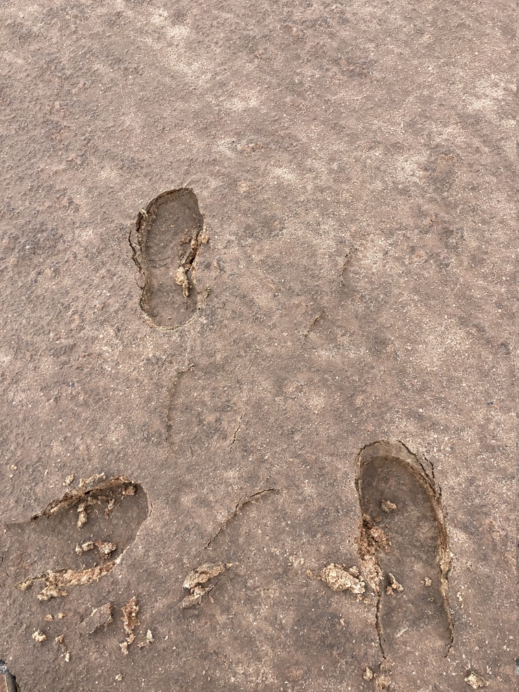 Search part 2! Watch your footing, and stick to the hard ground.